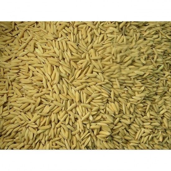 ซื้อ-ขายข้าวเปลือก ปุ๋ยเคมี บุรีรัมย์โชคศักดิ์ชัย - รับซื้อข้าวเปลือก บุรีรัมย์